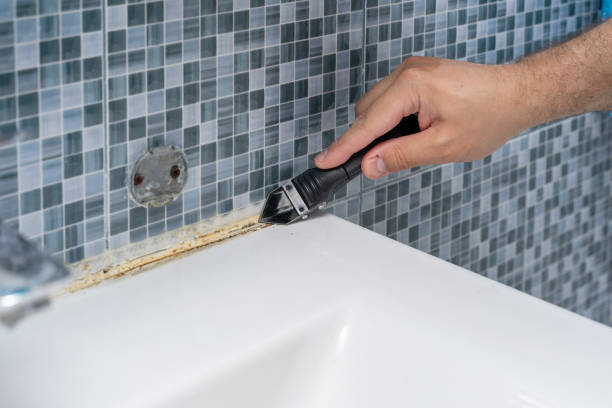 Professional Mold Remediation in Dawson, TX