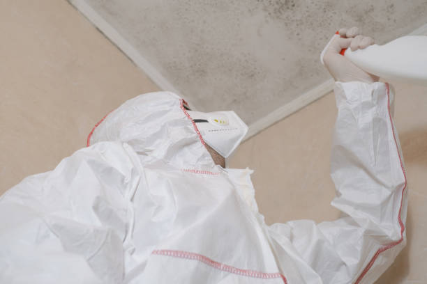 Best Kitchen Mold Remediation in Dawson, TX